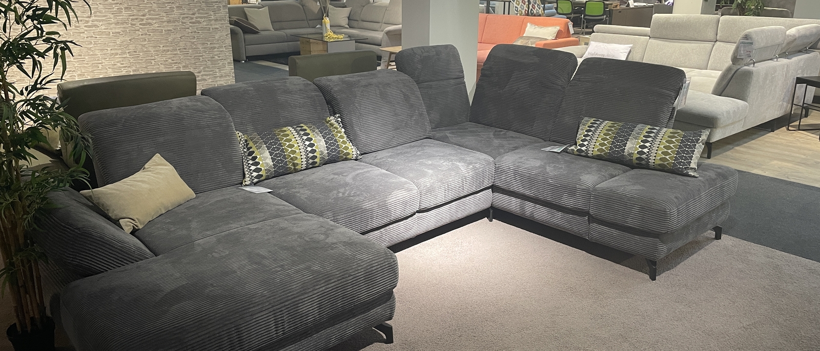 Poco Manitoba Cord SALE
