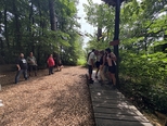 IMG 1632