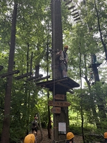 IMG 1702