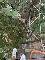 IMG 1735