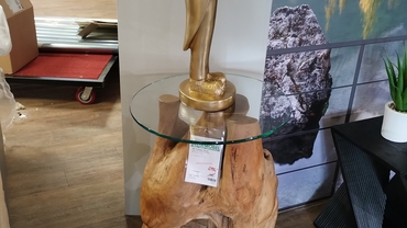 DW 70 Wurzel SALE